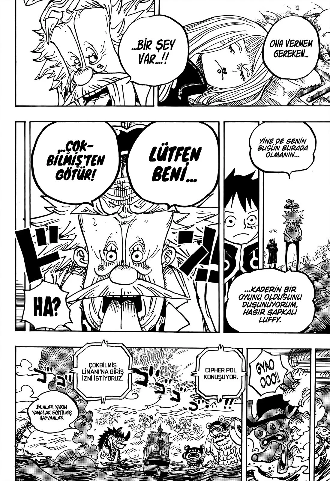 One Piece - Bölüm 1067 - Sayfa 13