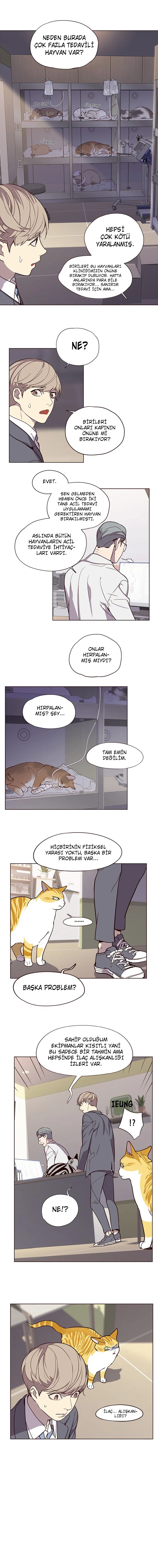 Eleceed - Bölüm 10 - Sayfa 7