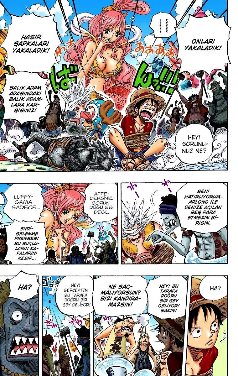 One Piece - Bölüm 618 - Sayfa 4