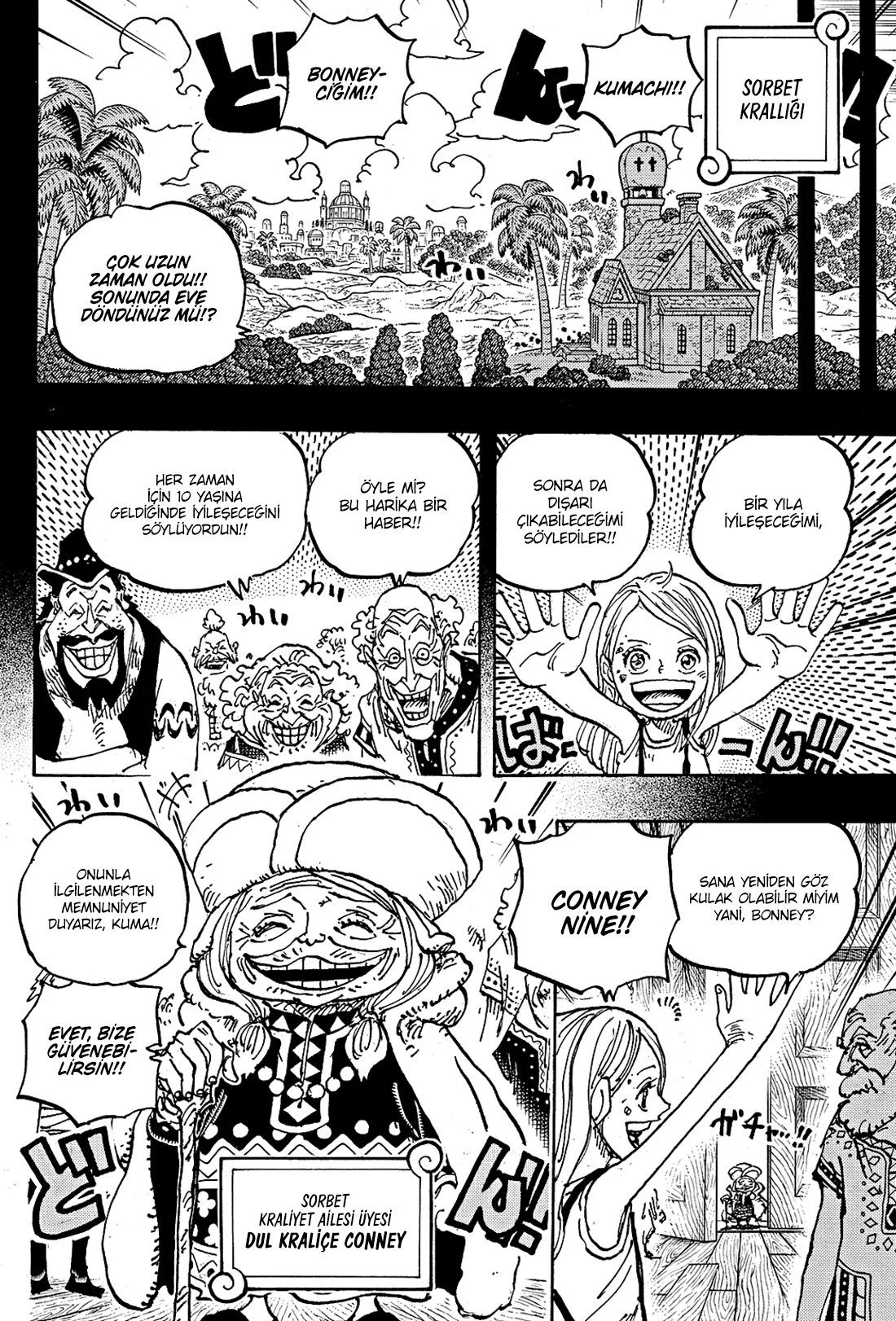One Piece - Bölüm 1100 - Sayfa 13