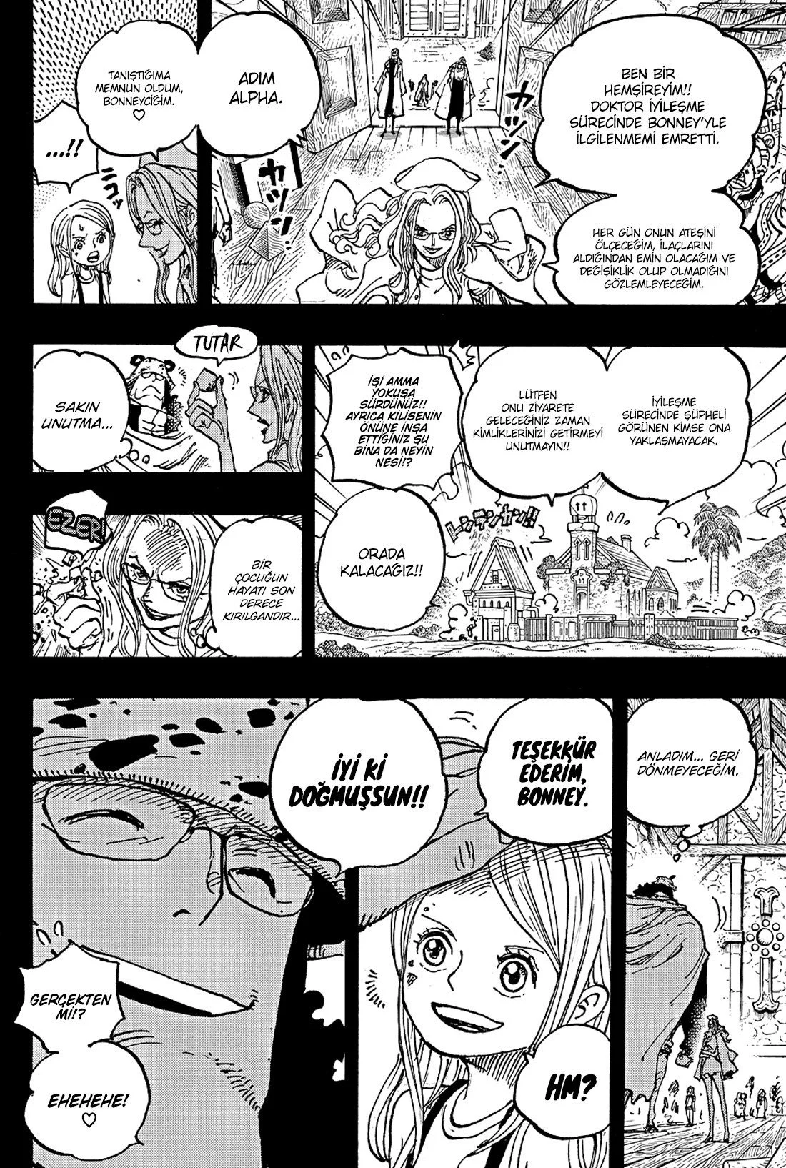 One Piece - Bölüm 1100 - Sayfa 15