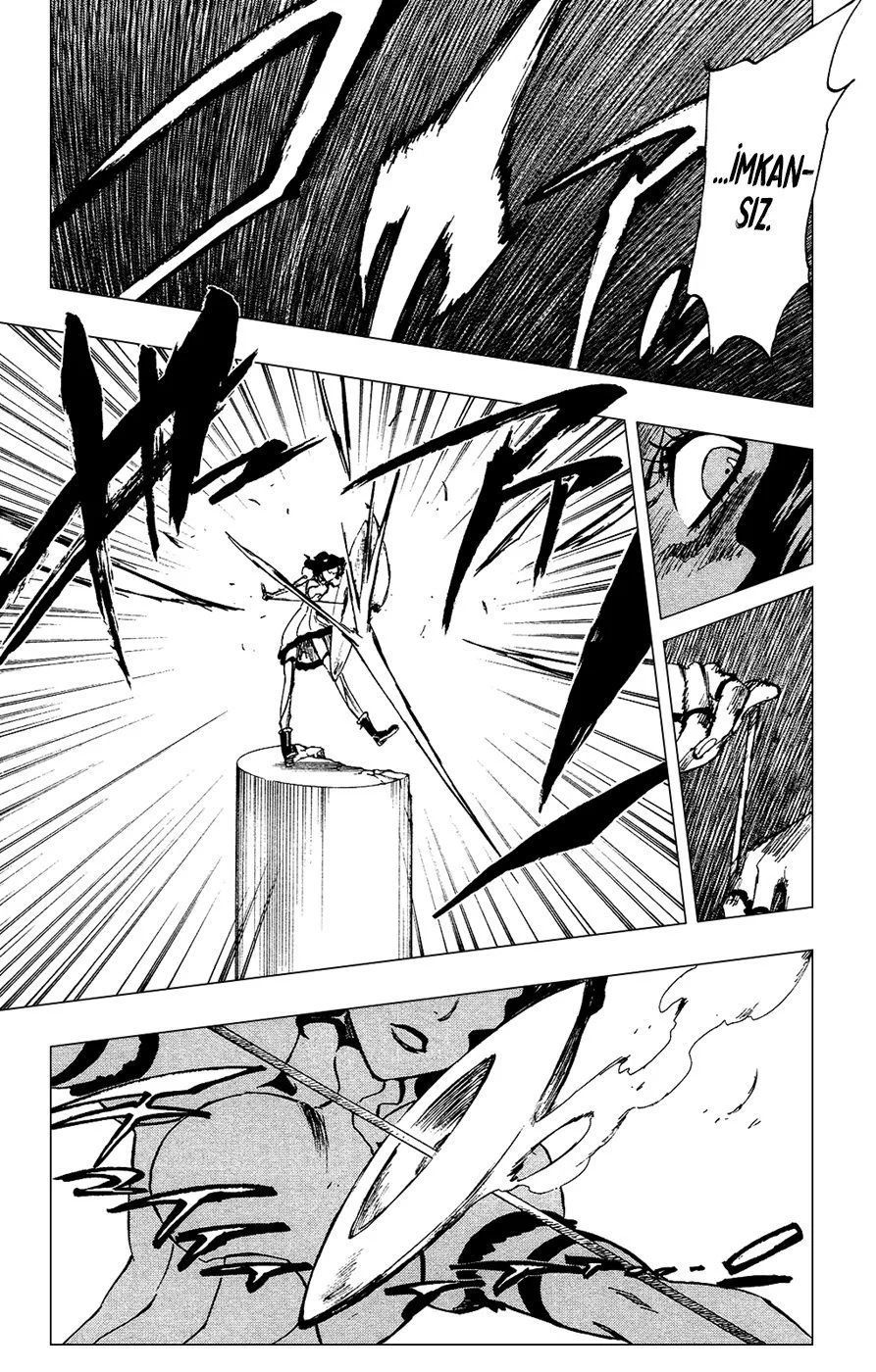 Bleach - Bölüm 255 - Sayfa 14