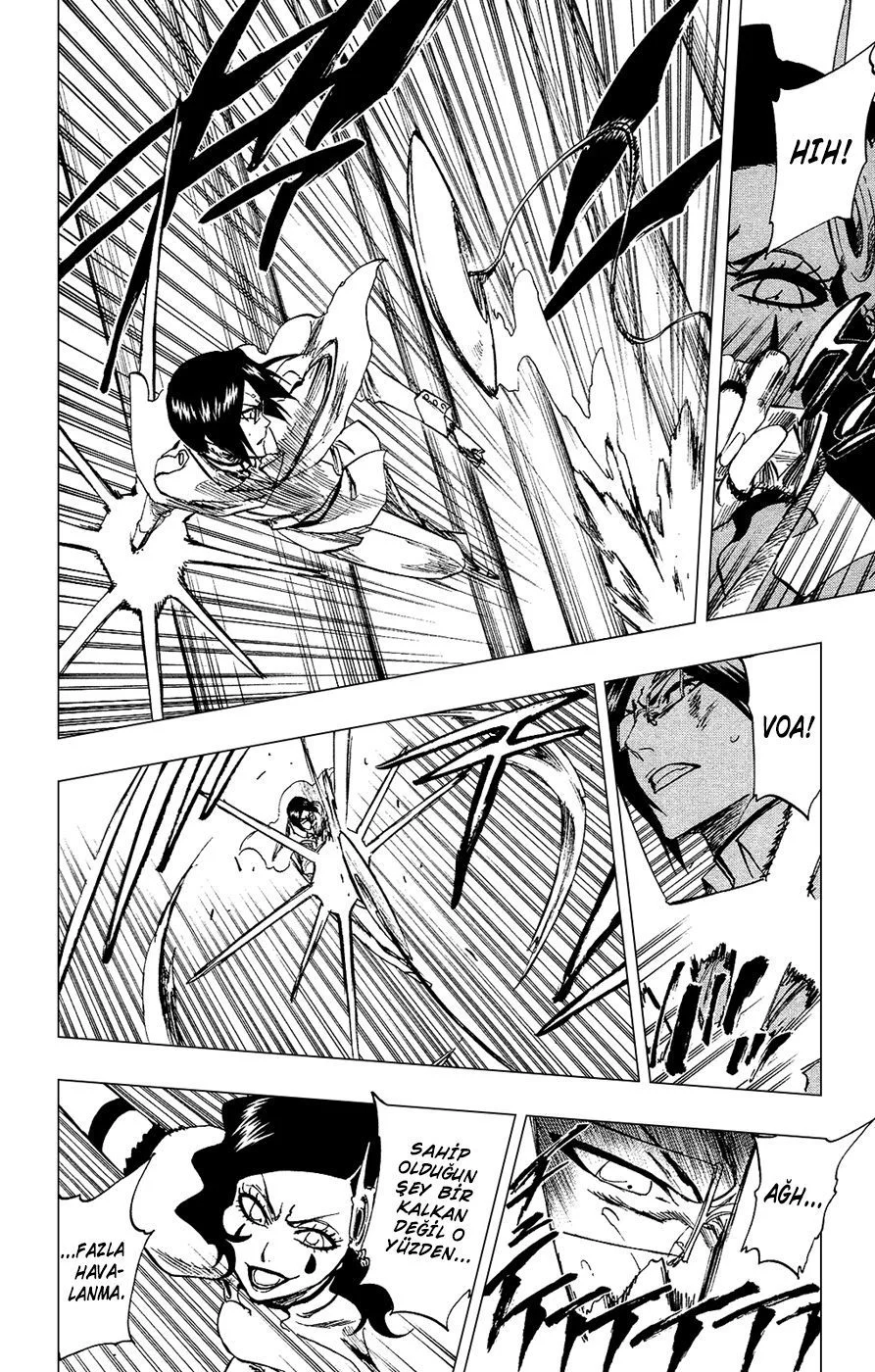Bleach - Bölüm 255 - Sayfa 17