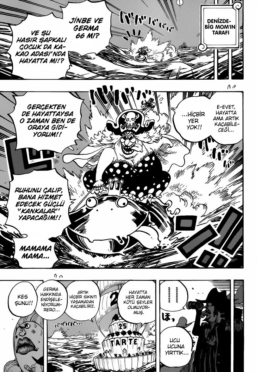 One Piece - Bölüm 901 - Sayfa 14