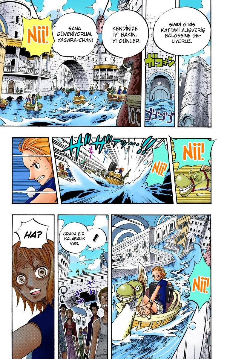 One Piece - Bölüm 328 - Sayfa 17