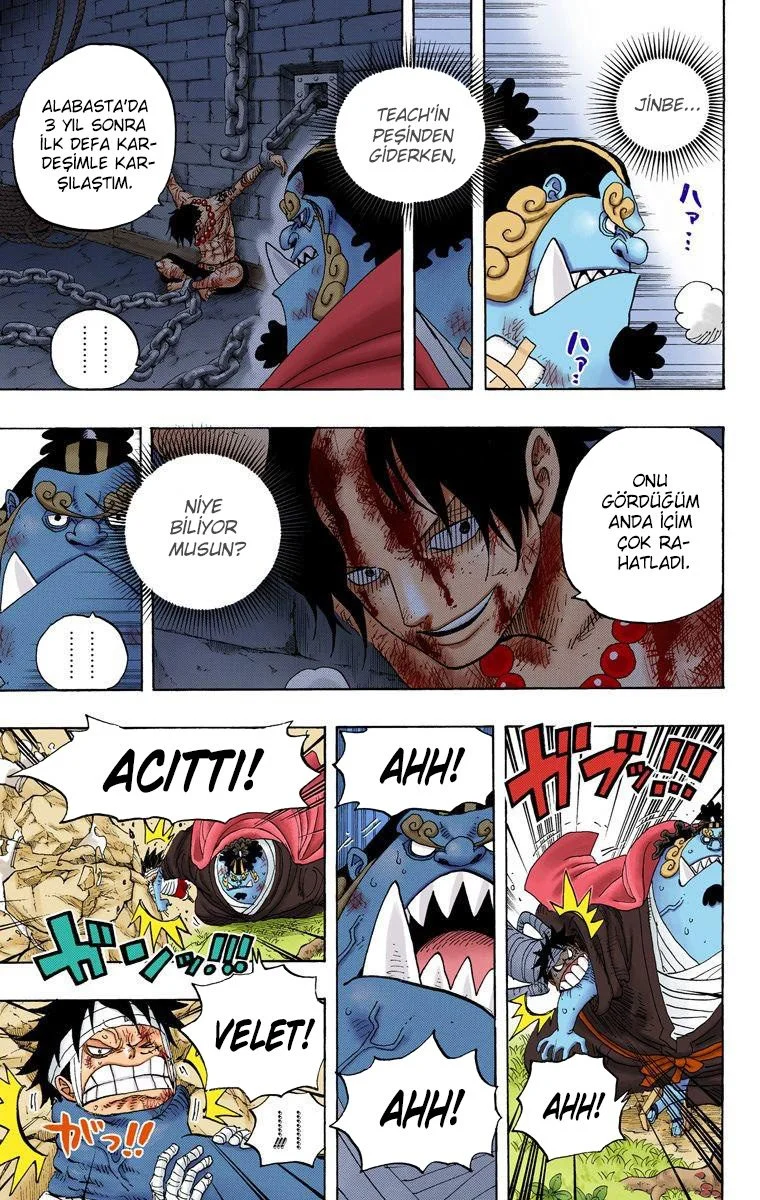 One Piece - Bölüm 590 - Sayfa 13