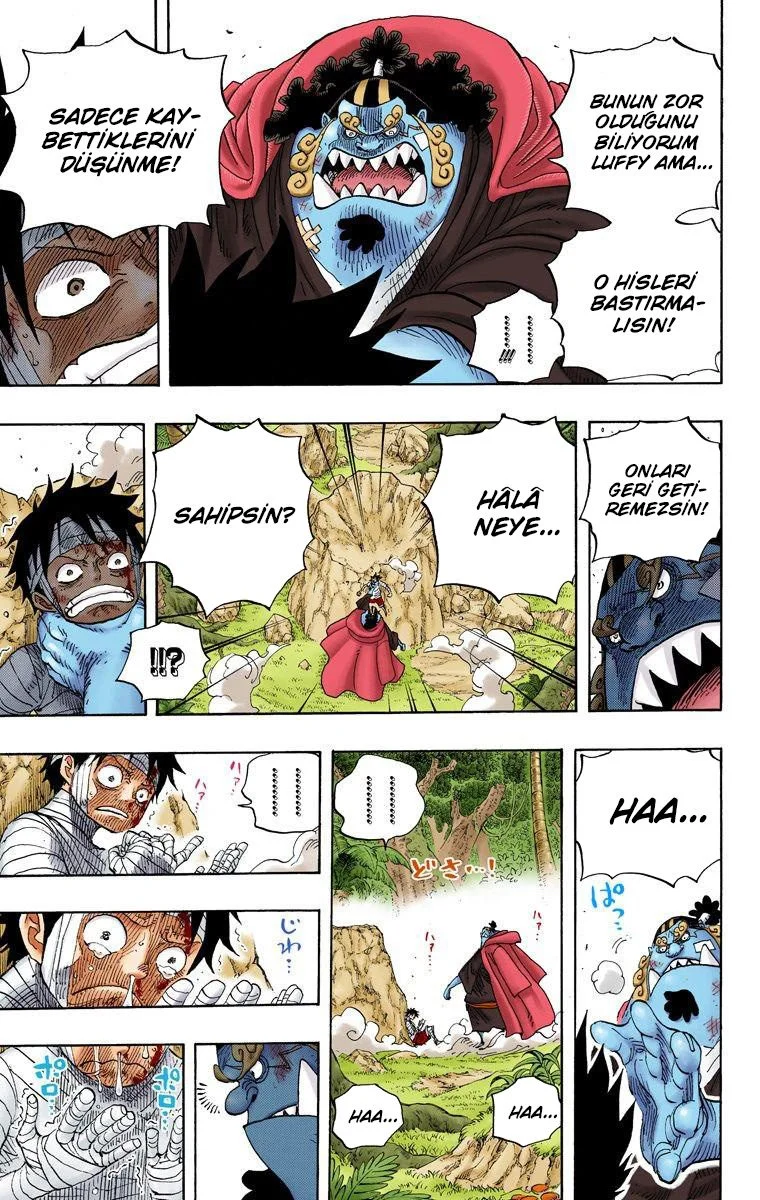 One Piece - Bölüm 590 - Sayfa 15