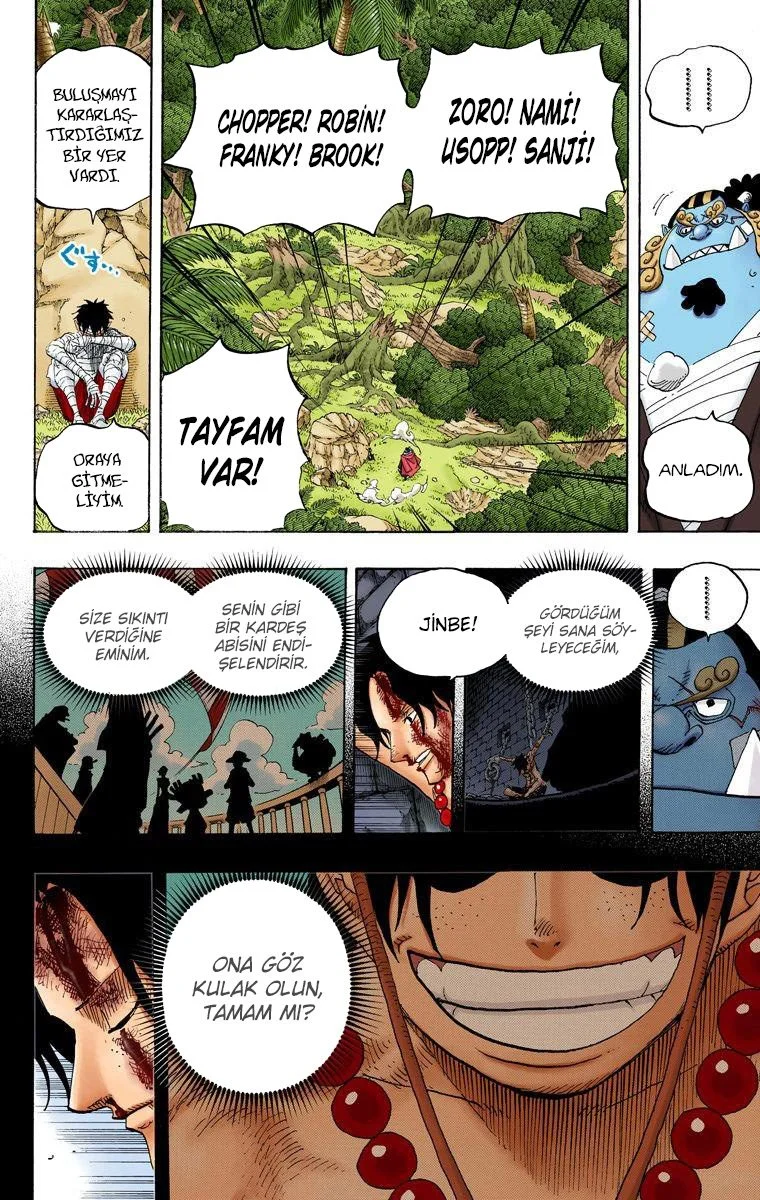 One Piece - Bölüm 590 - Sayfa 17