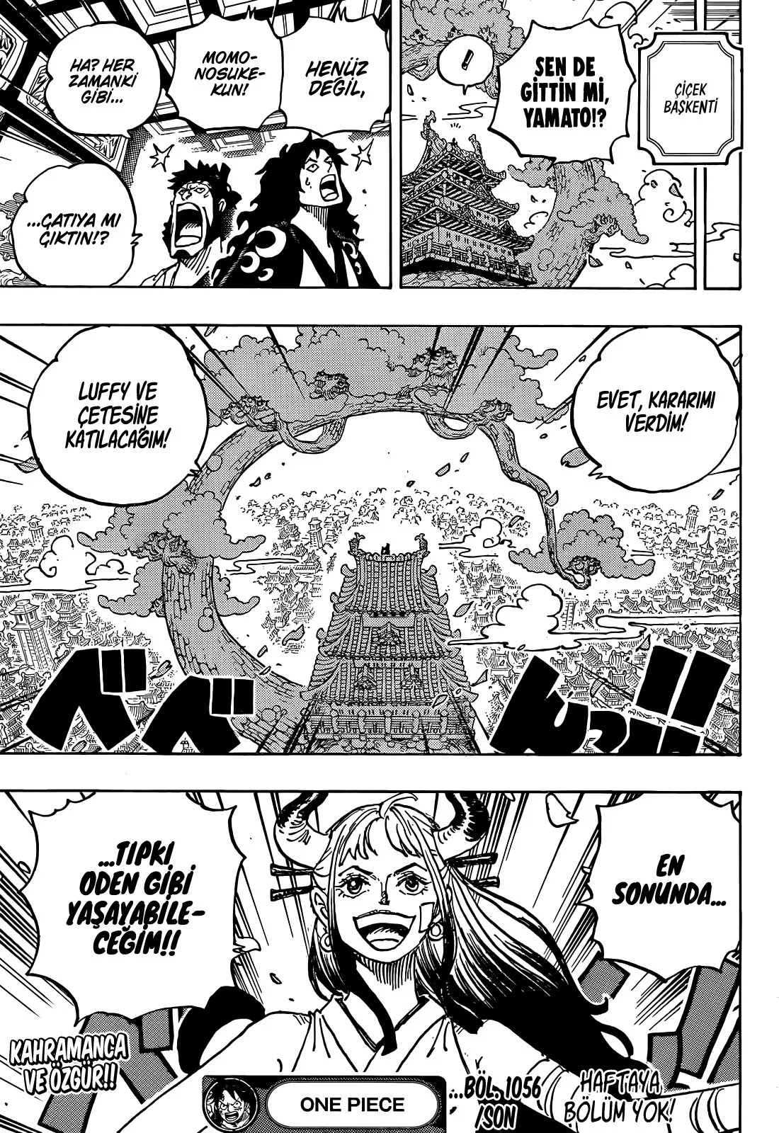 One Piece - Bölüm 1056 - Sayfa 17