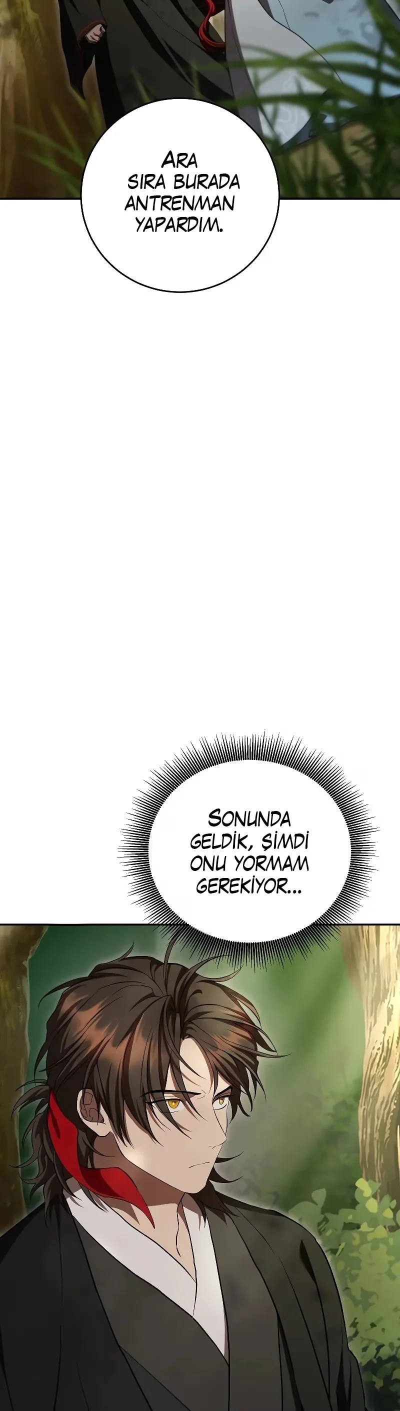 Wandering Warrior of Wudang - Bölüm 132 - Sayfa 33