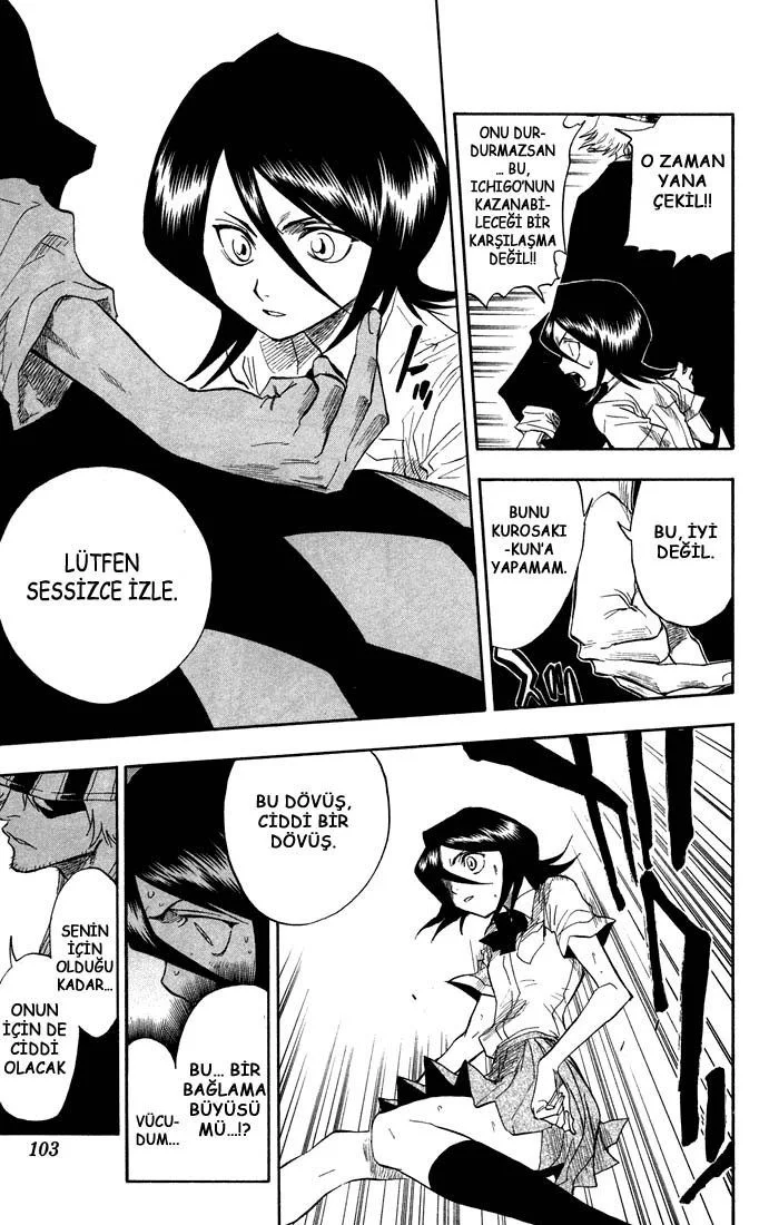 Bleach - Bölüm 48 - Sayfa 14