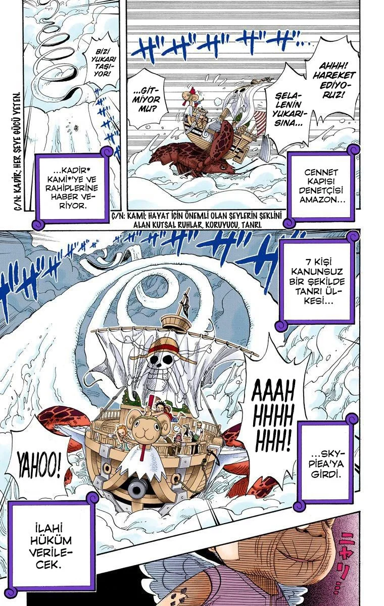 One Piece - Bölüm 238 - Sayfa 17