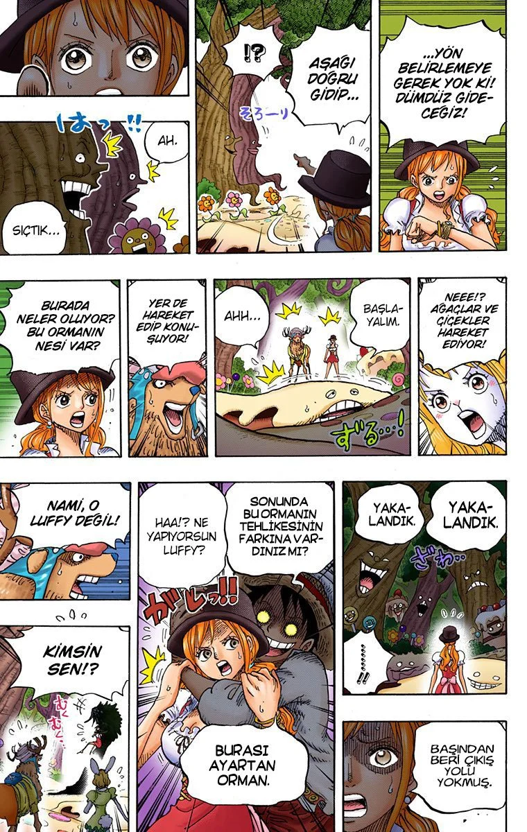 One Piece - Bölüm 832 - Sayfa 10