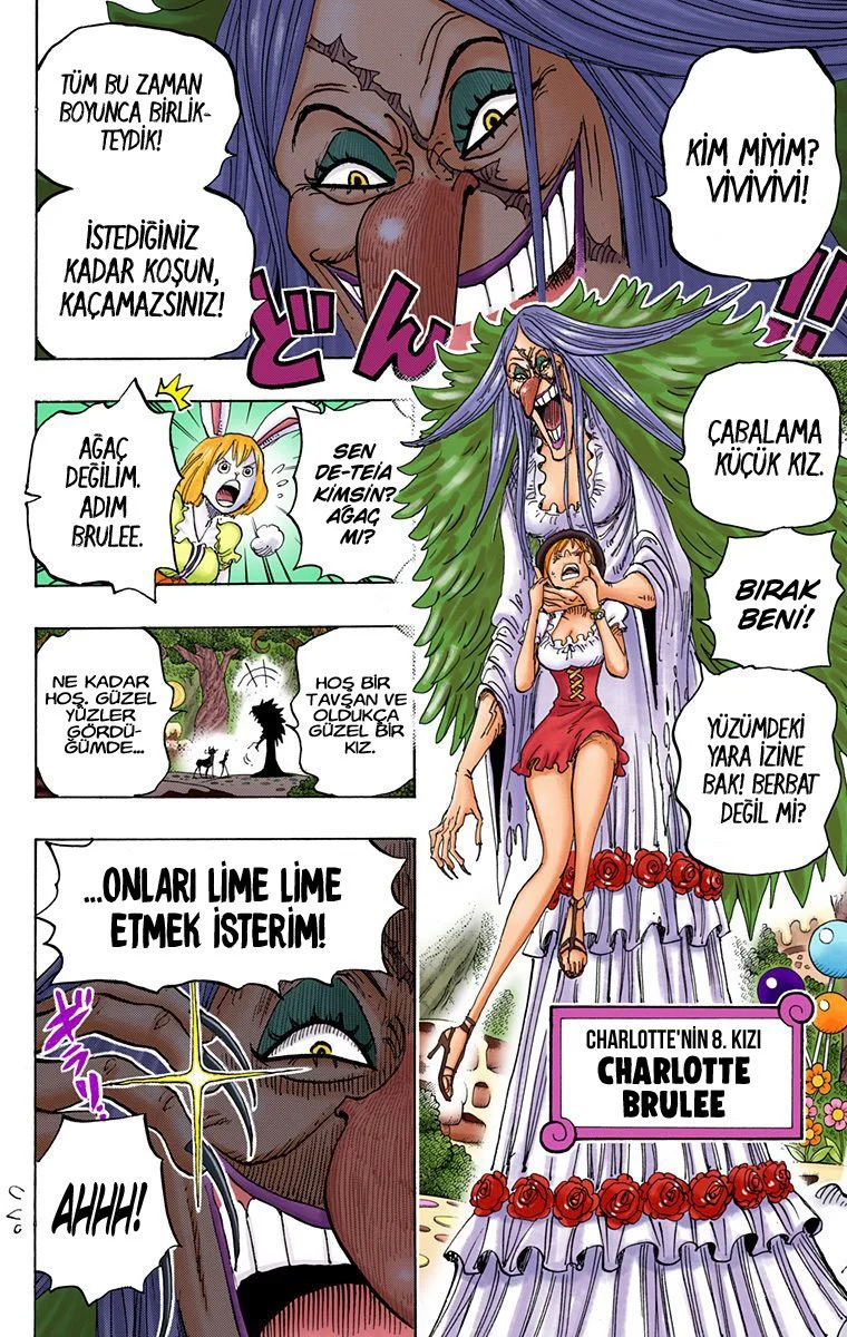 One Piece - Bölüm 832 - Sayfa 11