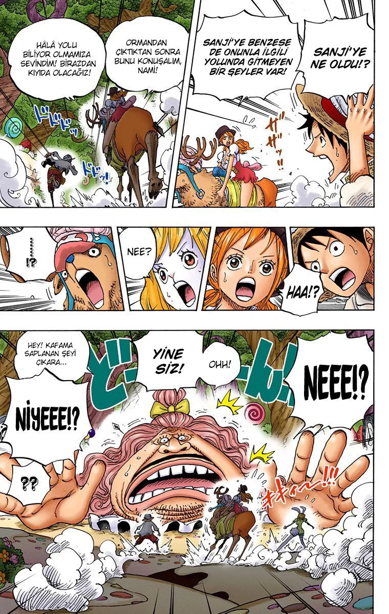 One Piece - Bölüm 832 - Sayfa 8