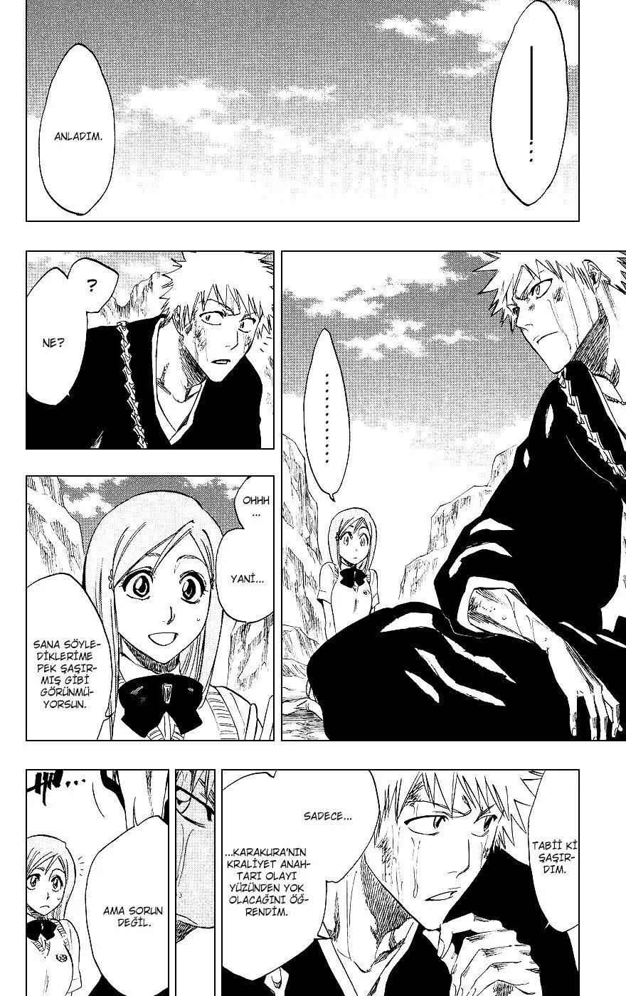 Bleach - Bölüm 225 - Sayfa 14