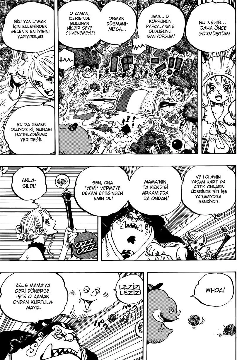 One Piece - Bölüm 875 - Sayfa 5