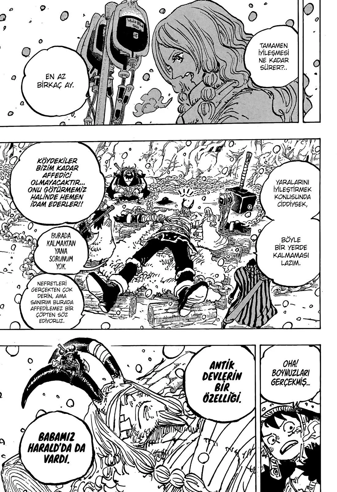 One Piece - Bölüm 1143 - Sayfa 16