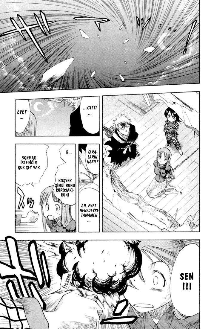 Bleach - Bölüm 6 - Sayfa 17