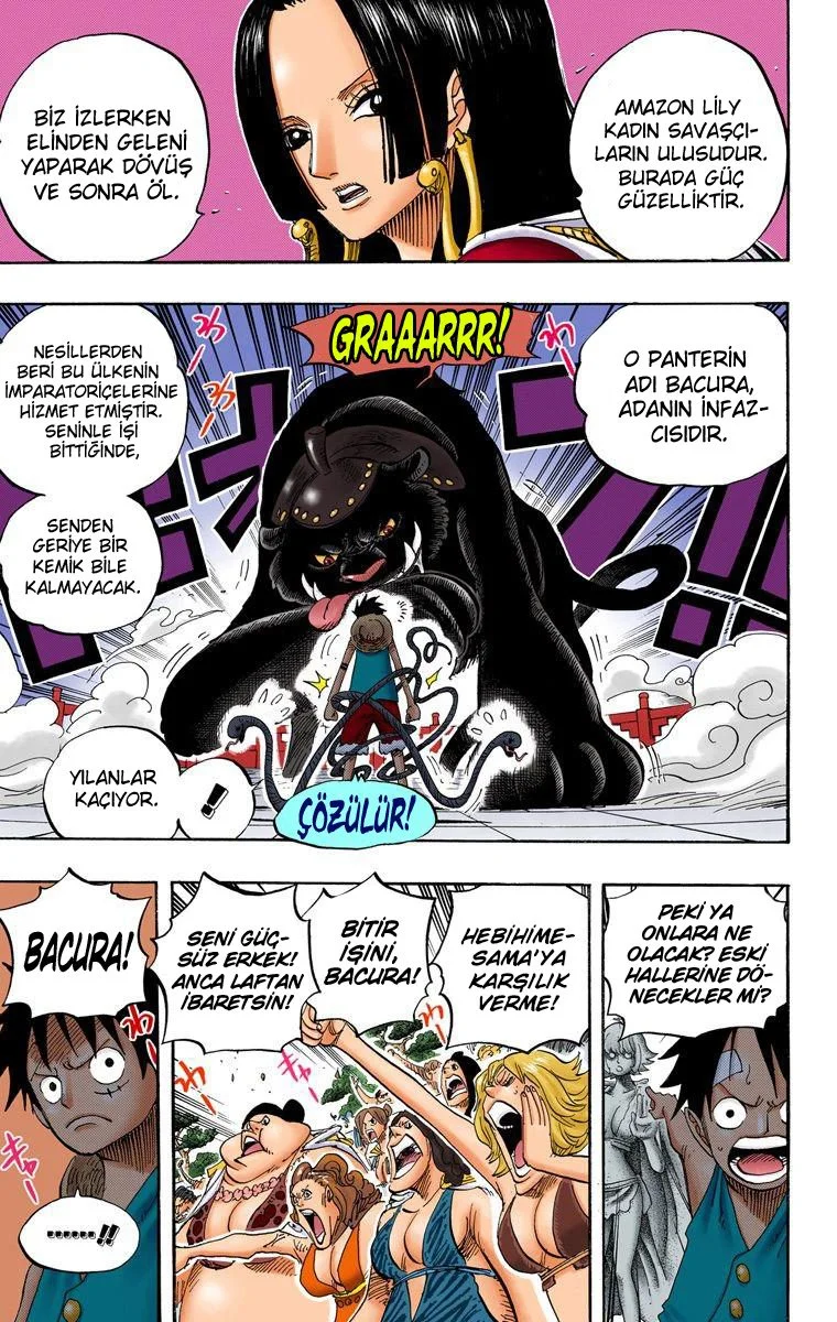 One Piece - Bölüm 518 - Sayfa 13