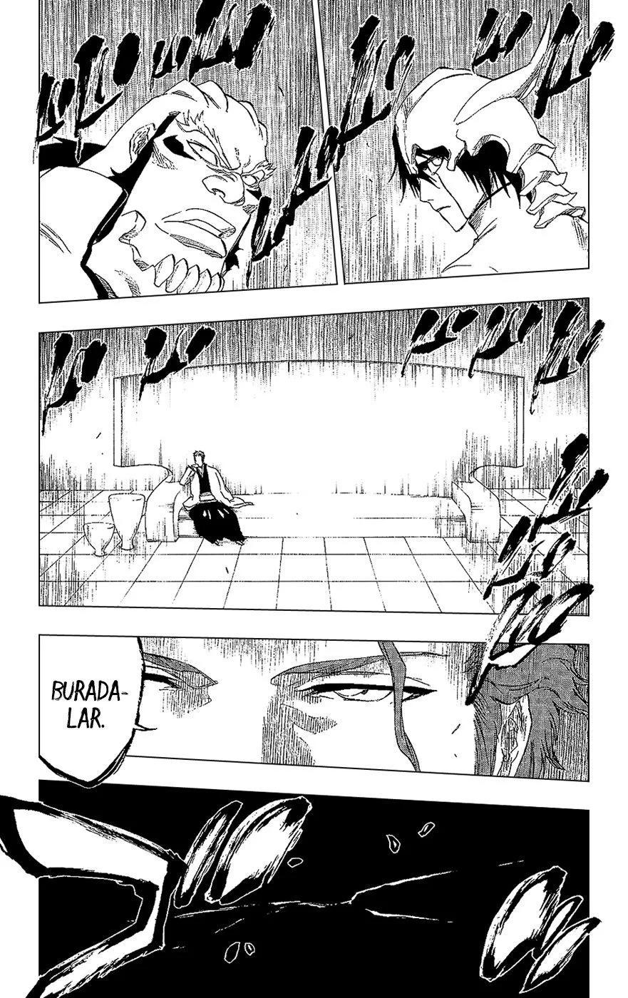 Bleach - Bölüm 241 - Sayfa 15