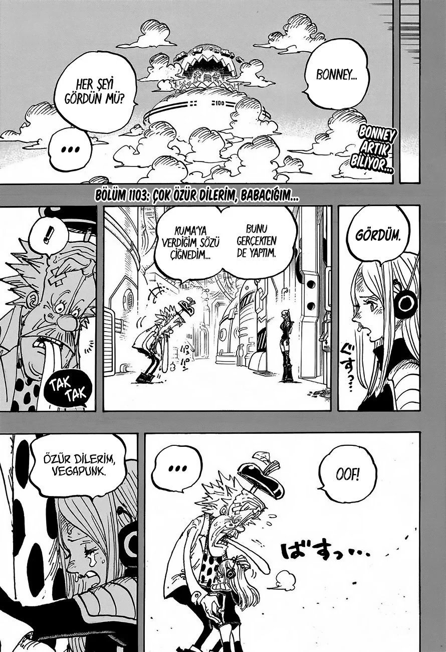 One Piece - Bölüm 1103 - Sayfa 4