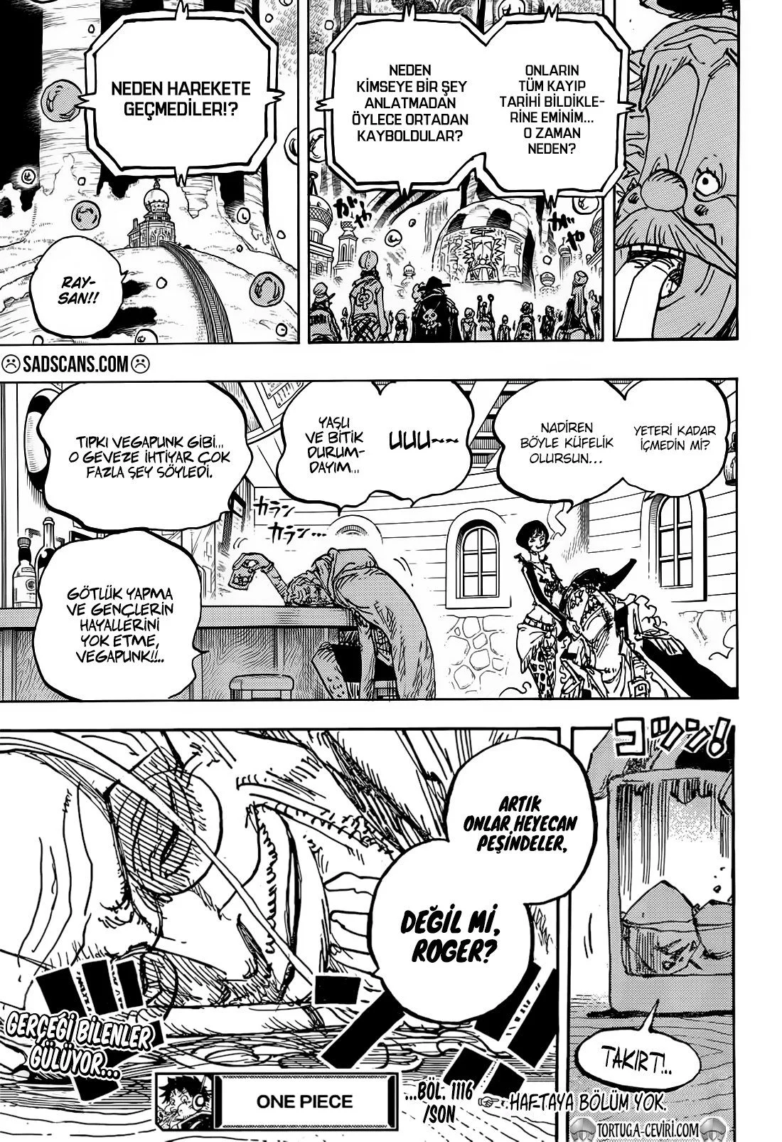 One Piece - Bölüm 1116 - Sayfa 13
