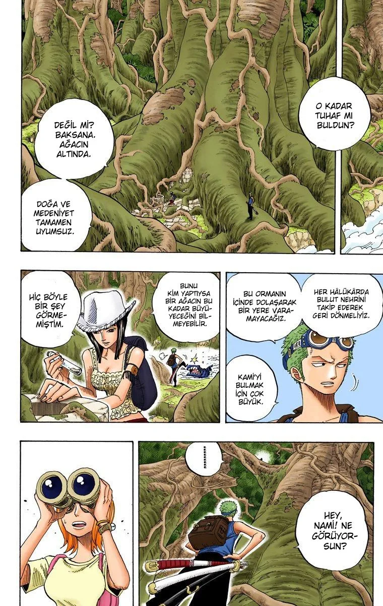 One Piece - Bölüm 249 - Sayfa 12