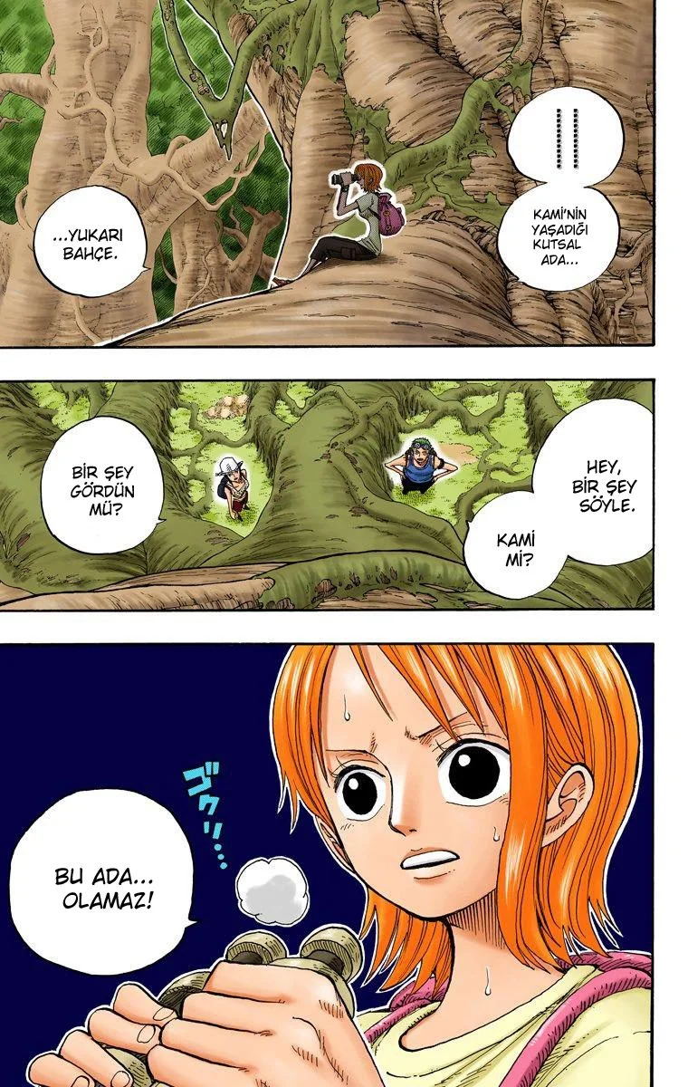 One Piece - Bölüm 249 - Sayfa 13
