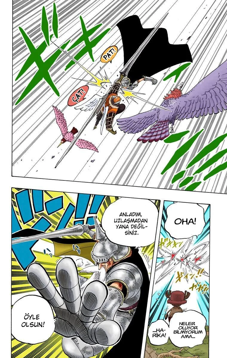 One Piece - Bölüm 249 - Sayfa 14