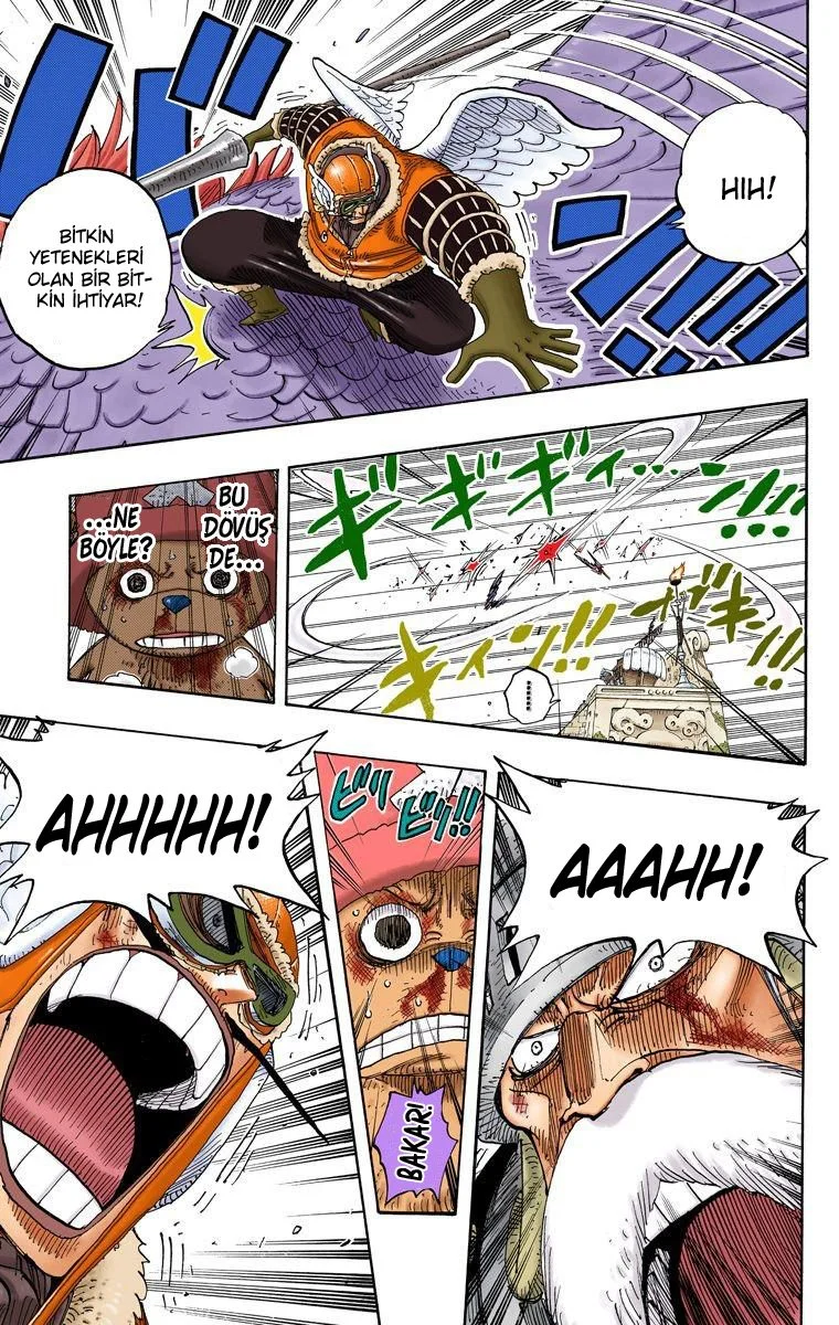One Piece - Bölüm 249 - Sayfa 15