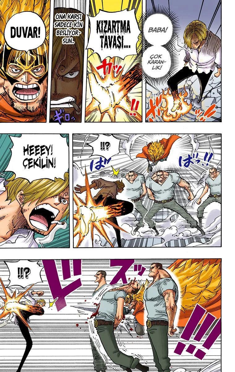 One Piece - Bölüm 833 - Sayfa 14