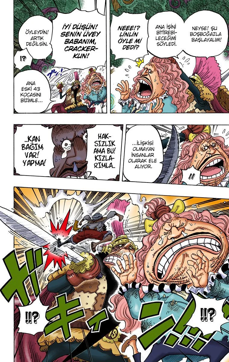 One Piece - Bölüm 836 - Sayfa 10