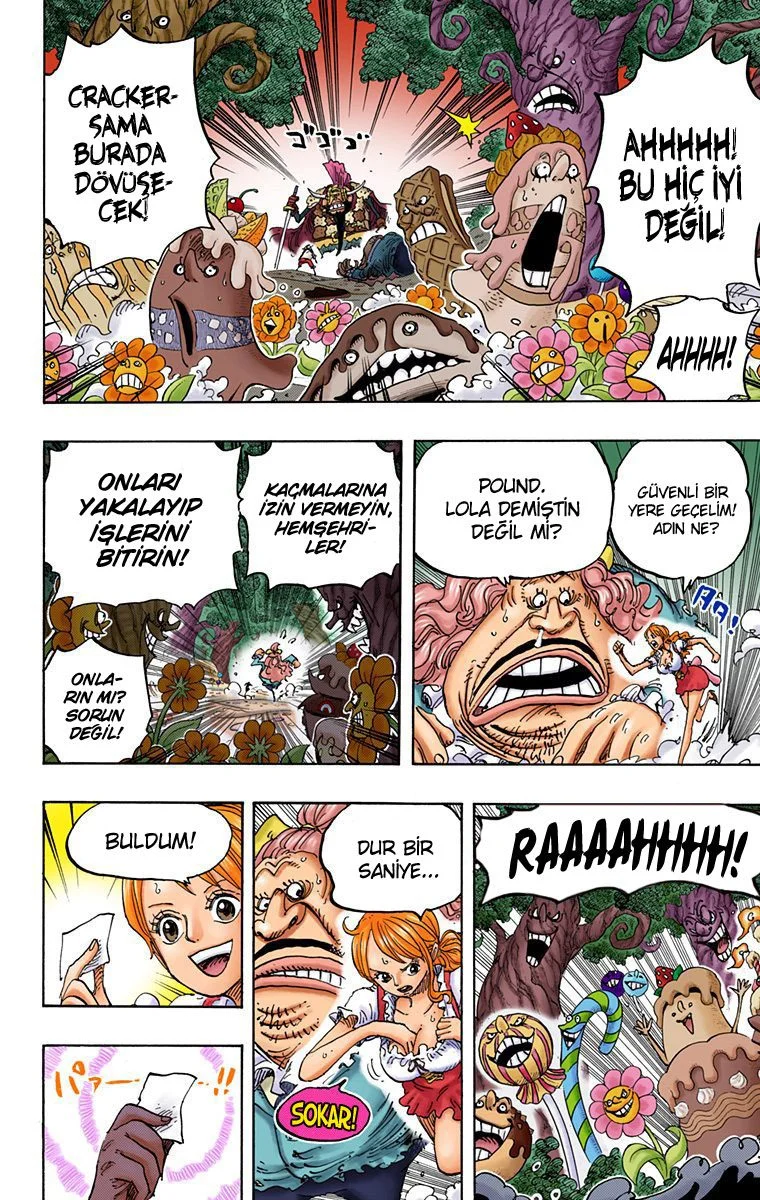 One Piece - Bölüm 836 - Sayfa 12