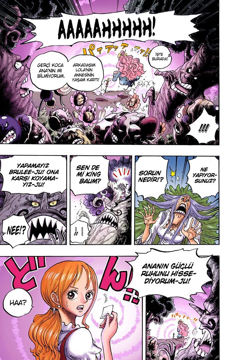 One Piece - Bölüm 836 - Sayfa 13