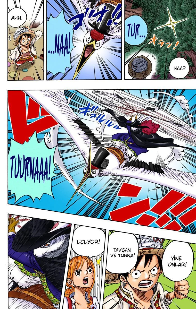 One Piece - Bölüm 836 - Sayfa 4