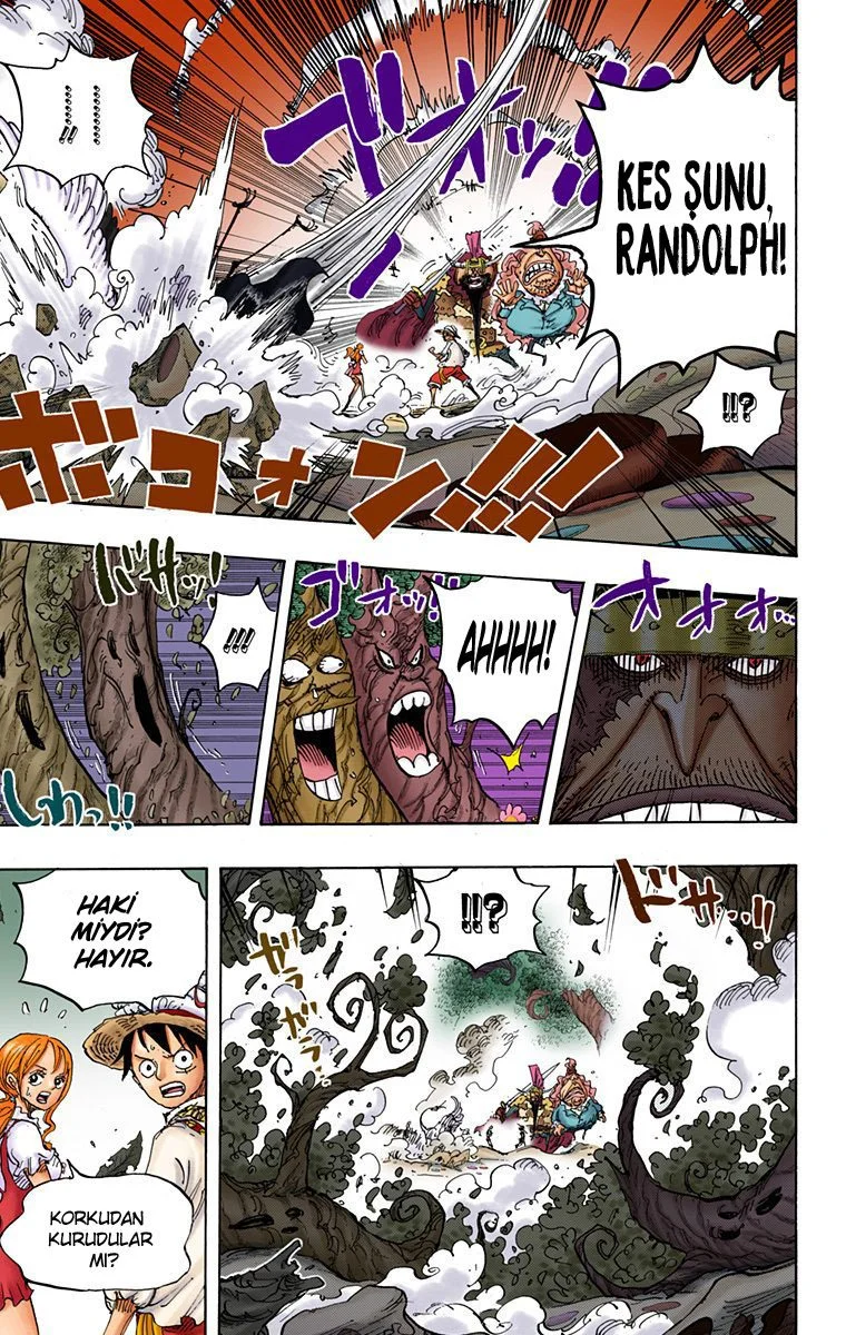 One Piece - Bölüm 836 - Sayfa 5