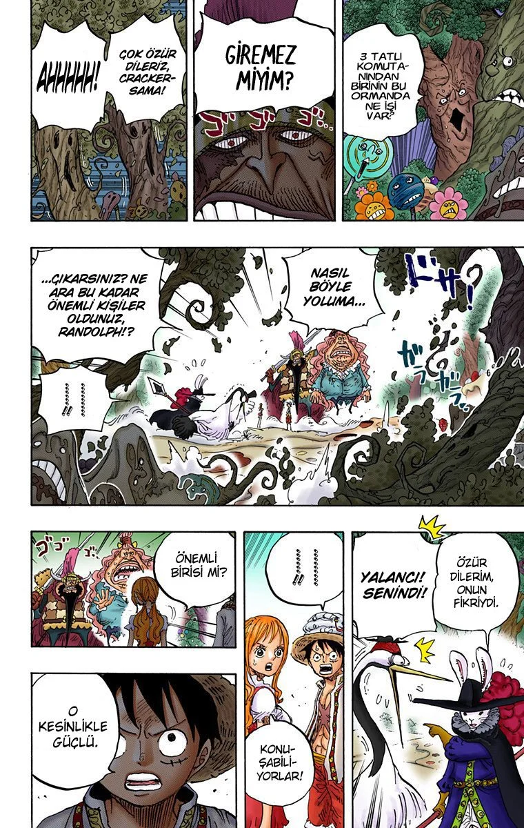 One Piece - Bölüm 836 - Sayfa 6