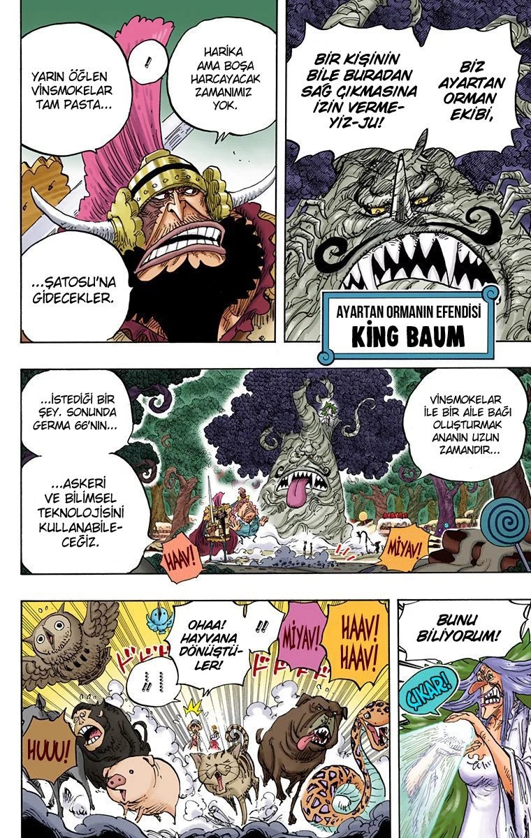 One Piece - Bölüm 836 - Sayfa 8