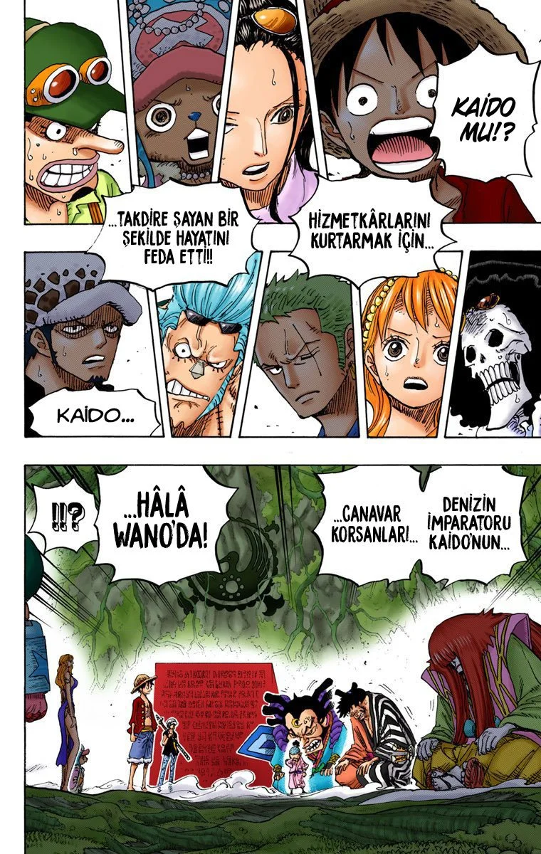 One Piece - Bölüm 818 - Sayfa 14