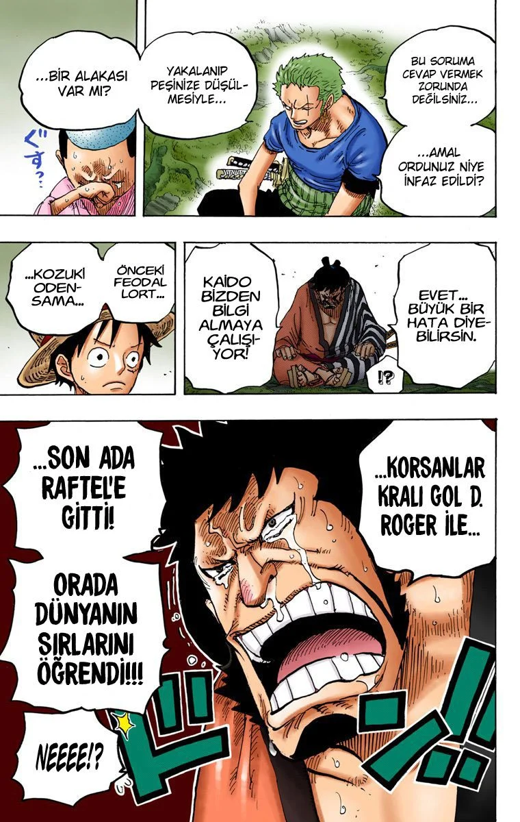 One Piece - Bölüm 818 - Sayfa 15