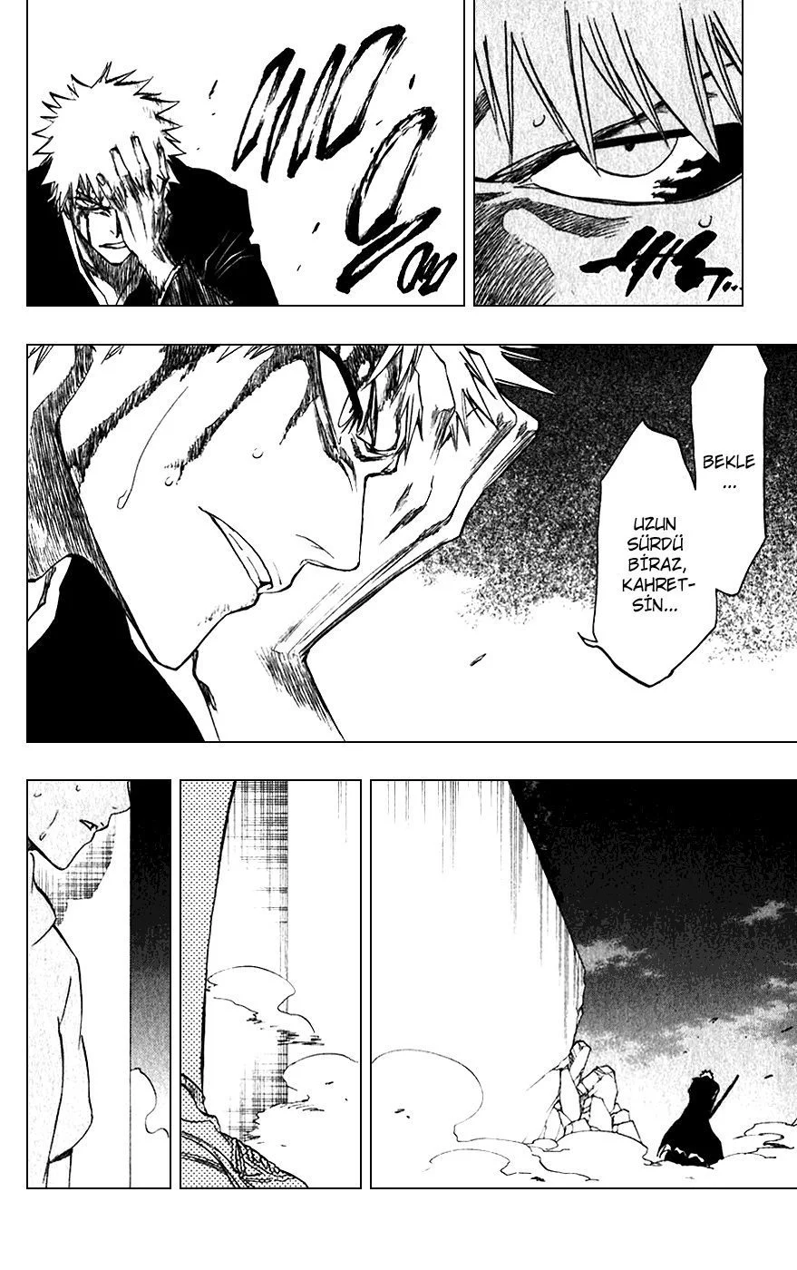 Bleach - Bölüm 211 - Sayfa 17