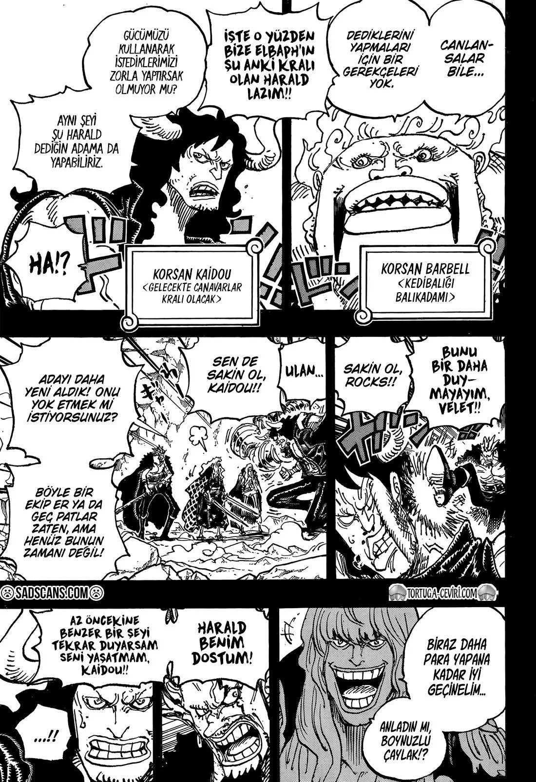 One Piece - Bölüm 1156 - Sayfa 16