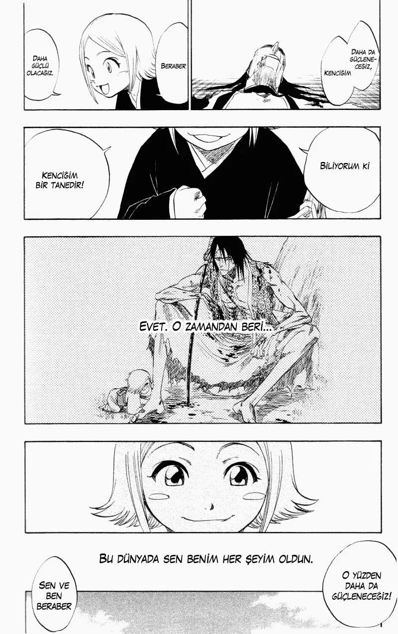 Bleach - Bölüm 114 - Sayfa 17