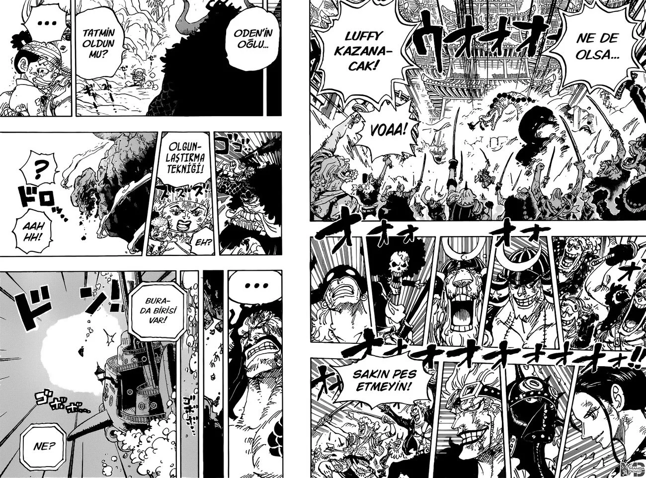 One Piece - Bölüm 1015 - Sayfa 13