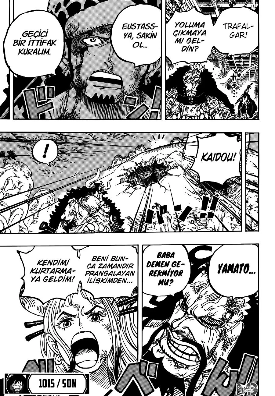 One Piece - Bölüm 1015 - Sayfa 15