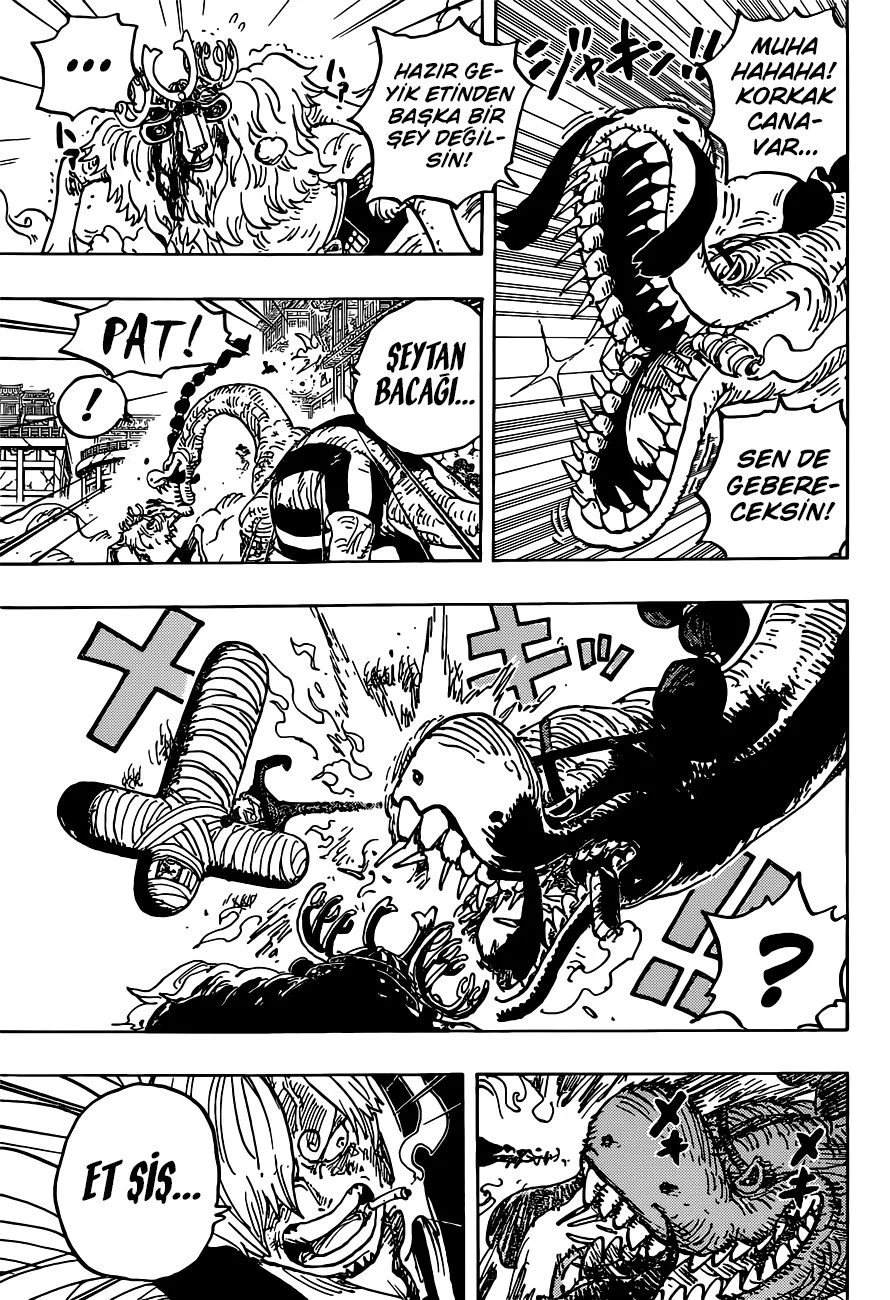 One Piece - Bölüm 1015 - Sayfa 5