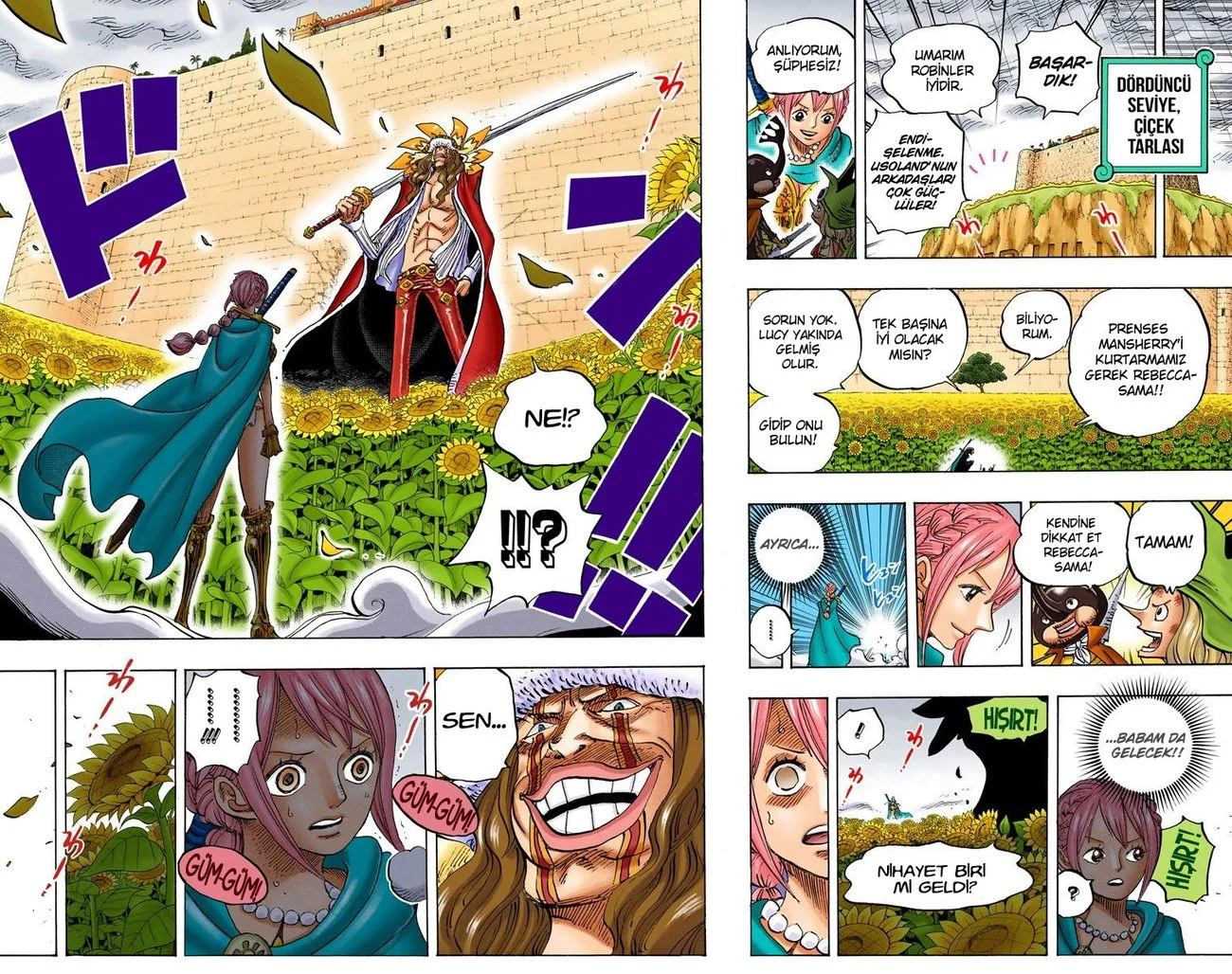 One Piece - Bölüm 756 - Sayfa 17