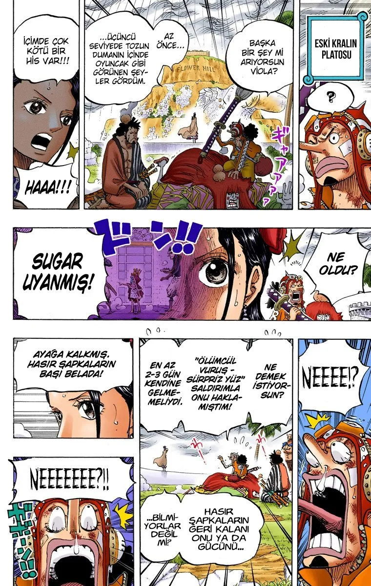 One Piece - Bölüm 756 - Sayfa 9