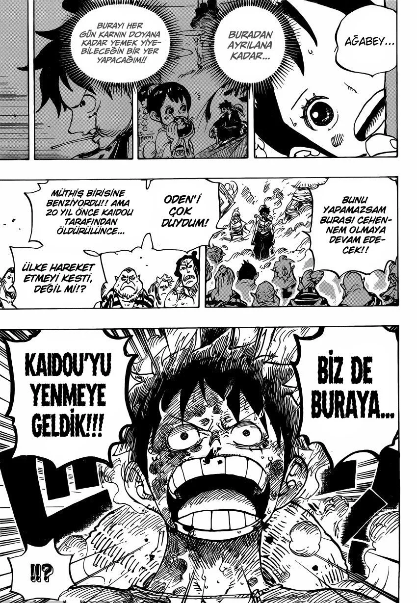 One Piece - Bölüm 949 - Sayfa 13
